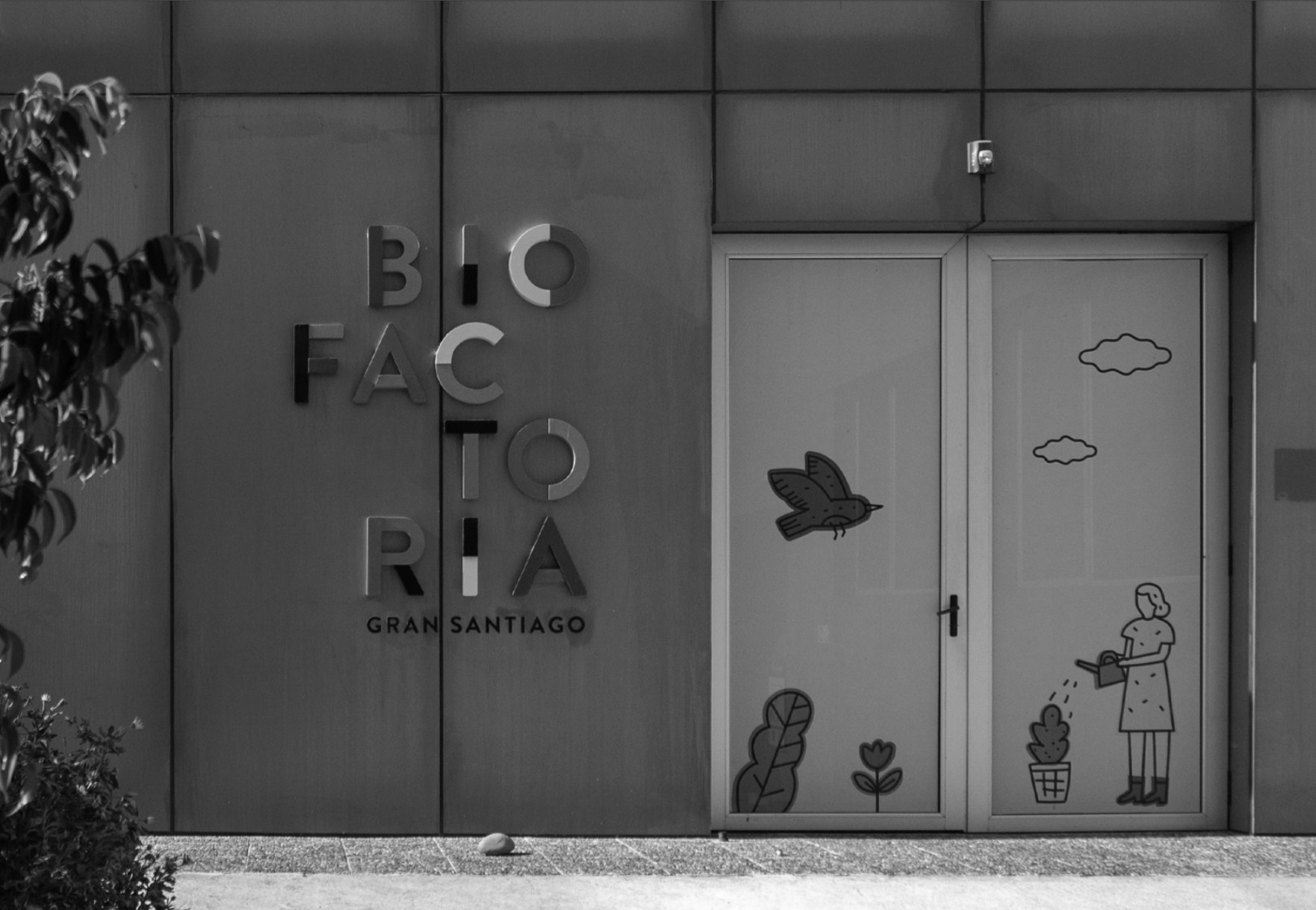 Education, Unchained