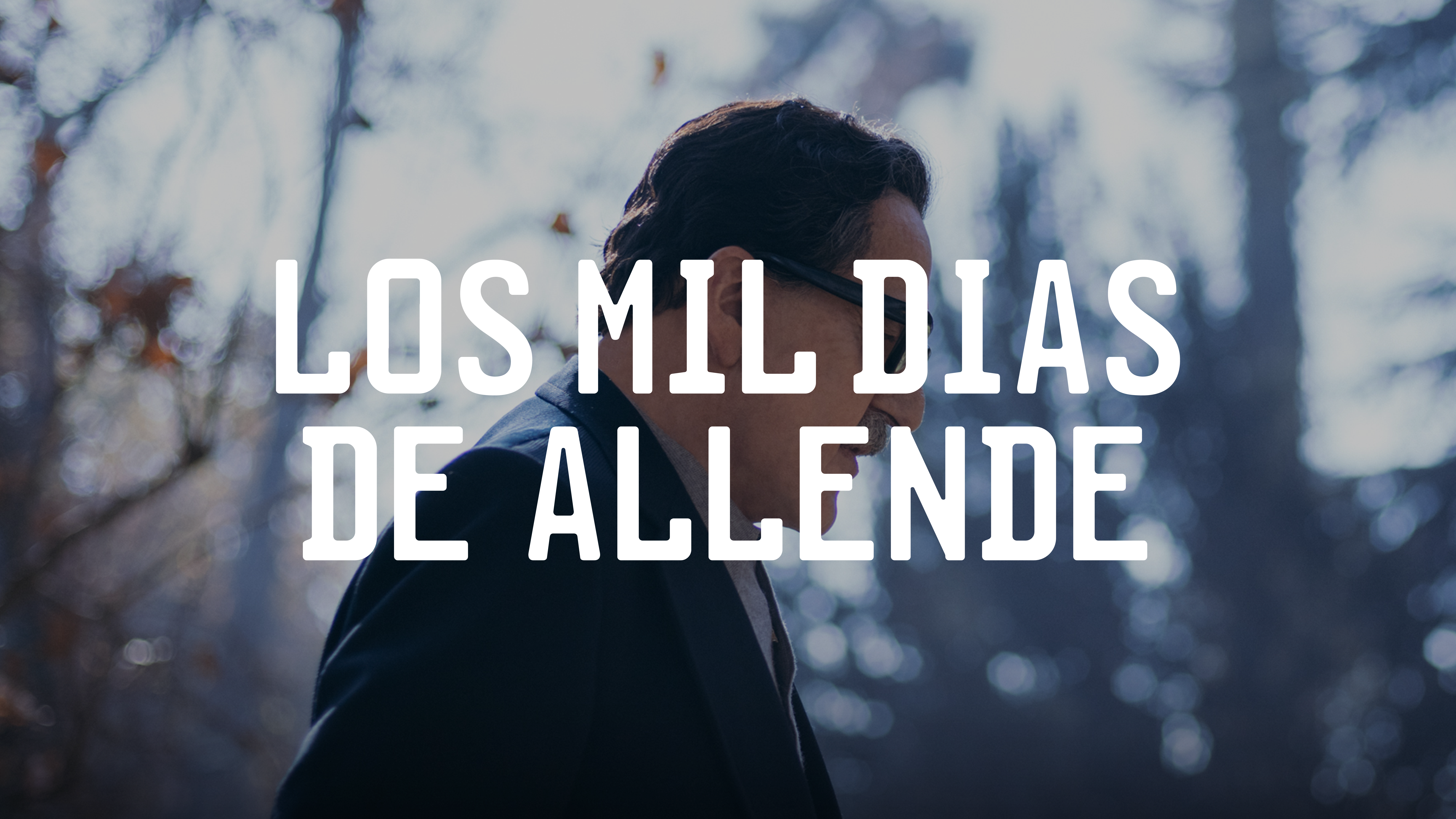 Los Mil Días de Allende